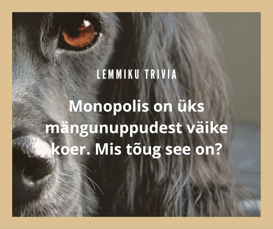 No kes poleks Monopoly mänginud, eks?! 🎩
Aga kas tead ka, mis tõugu on koeranupuke mängus? 🐕
Anna meile kommentaarides teada, mida arvad õigeks vastuseks olevat 👇

❤️ Cairni terjer
🖤 Kääbussnautser
🩶 Šoti terjer
🤍 West Highlandi terjer