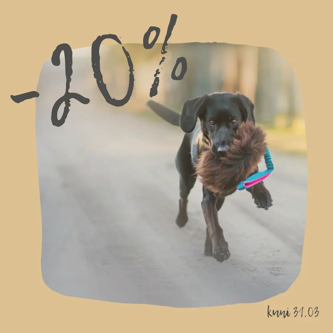 ❗Selle nädala lõpuni koerte lemmikud lambanahast tirimismänguasjad SOODUSES❗

E-poes leiad SOODUS kategooria alt head allahindlused üles 👇

www.kuutjakont.ee